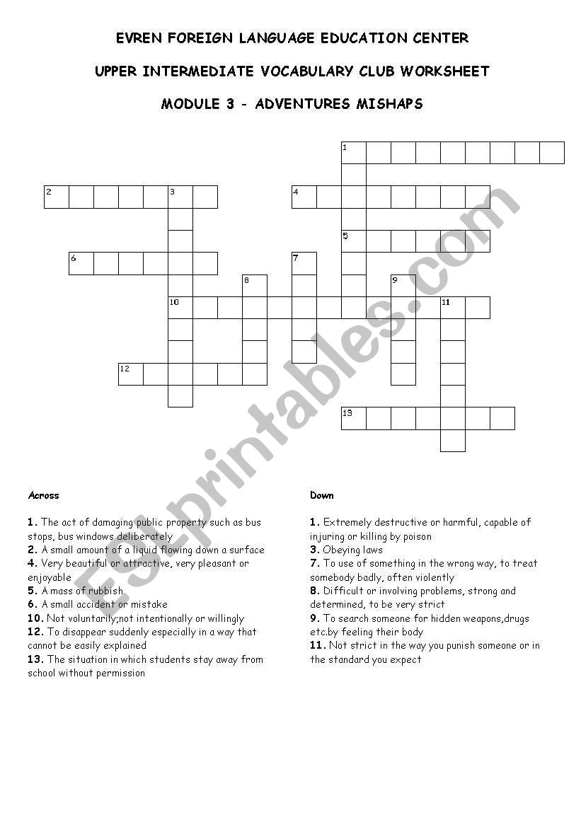 vocabulary puzzle worksheet