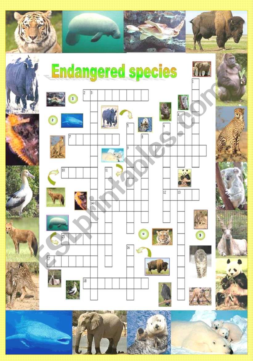 Endangered species (Part 5/5): Crossword