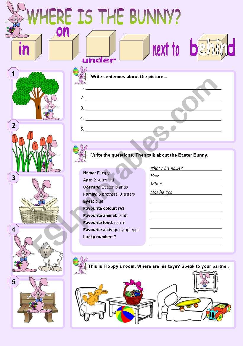 Where is the bunny? worksheet