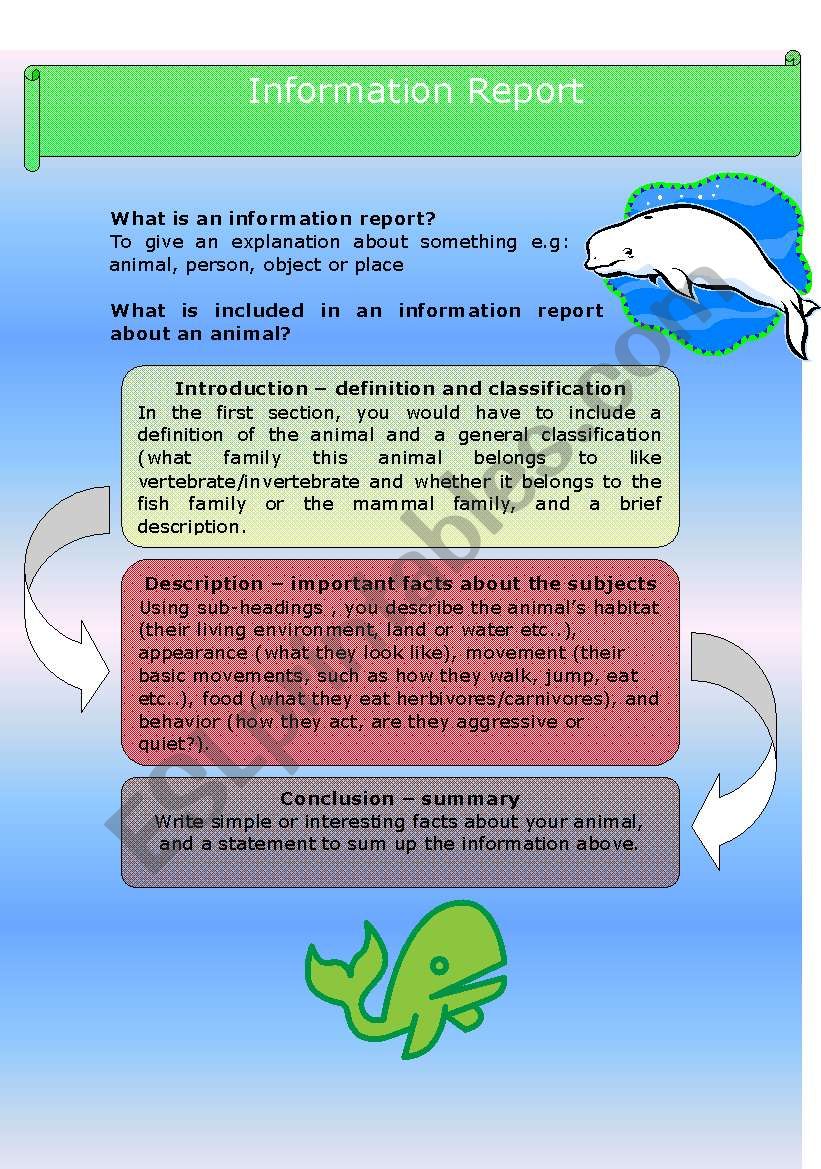 Information Report - Humpbacks