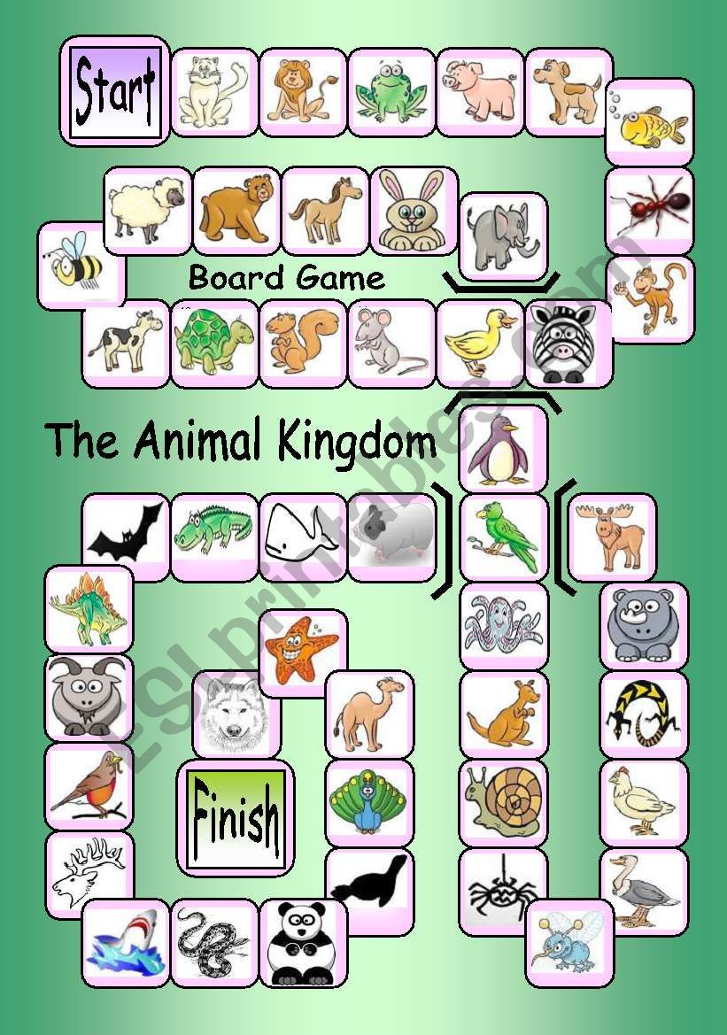 Board Game: The Animal Kingdom