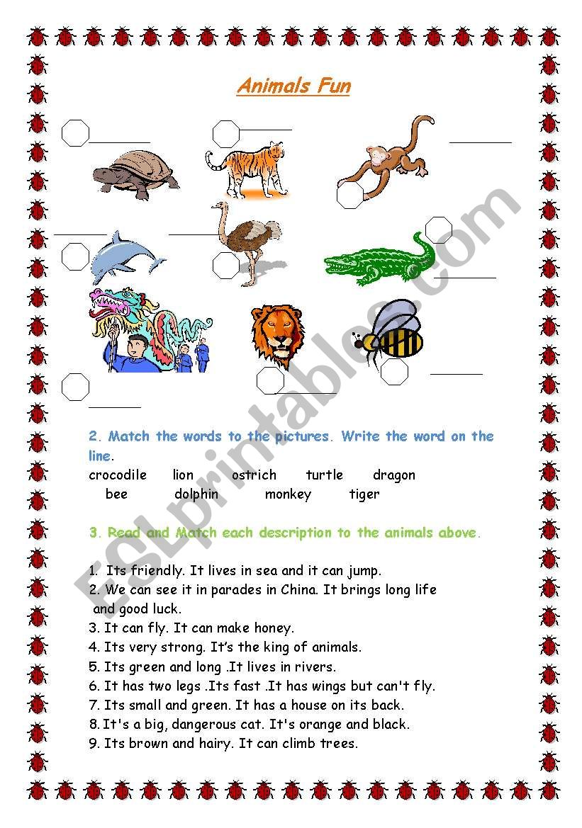 animals fun worksheet