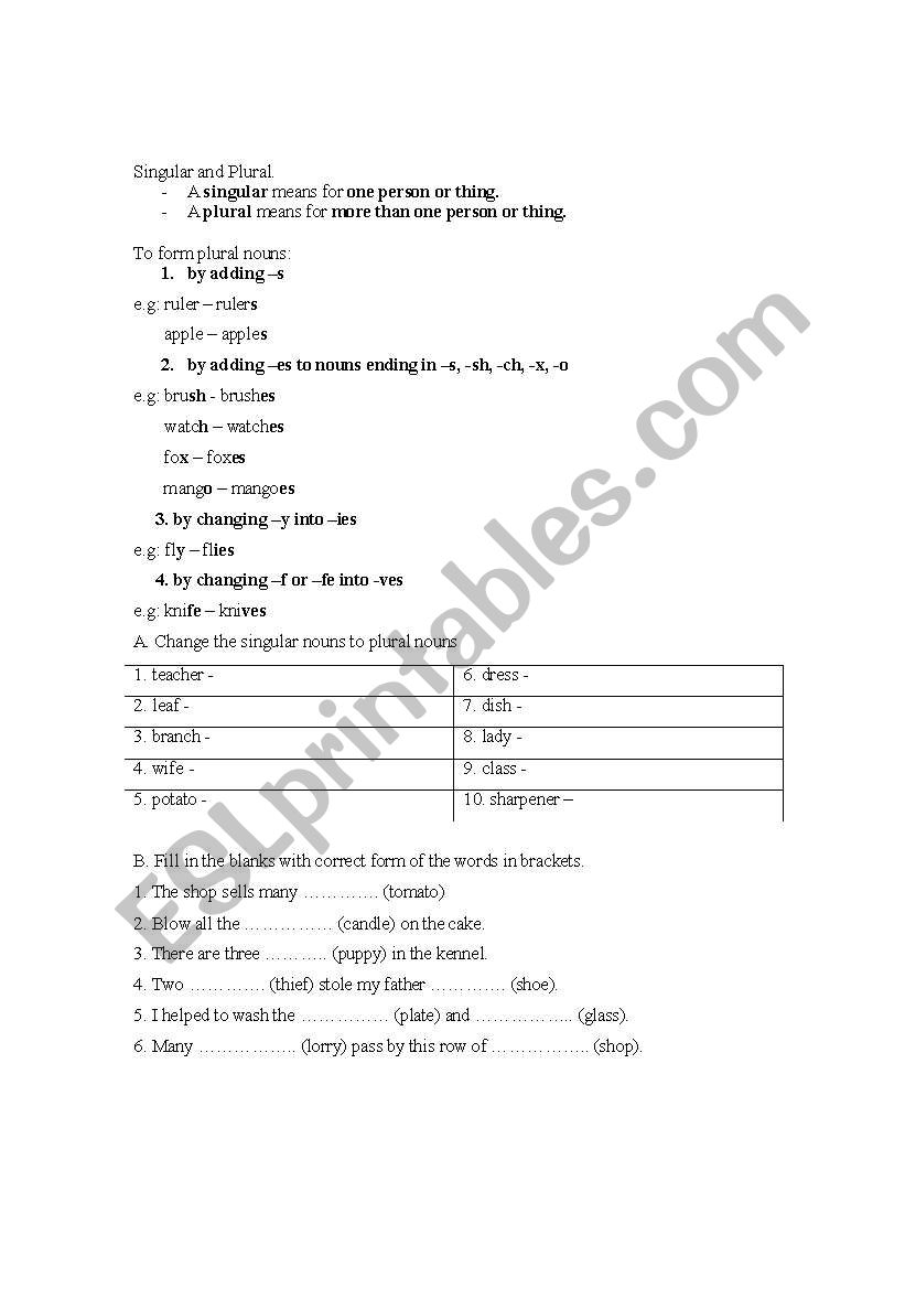 singular & plural worksheet worksheet