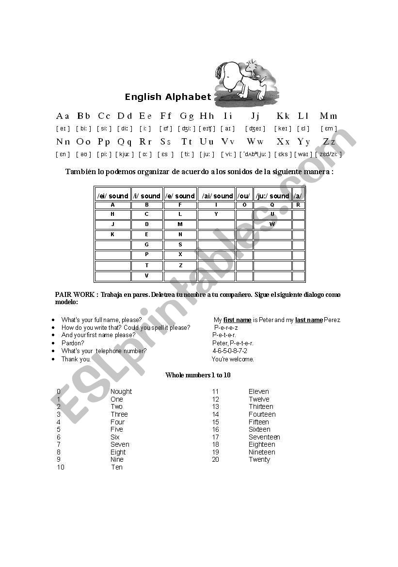 the alphabet  worksheet