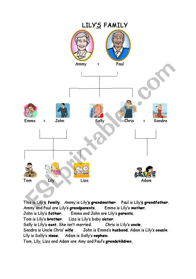 Lilys Familt tree worksheet