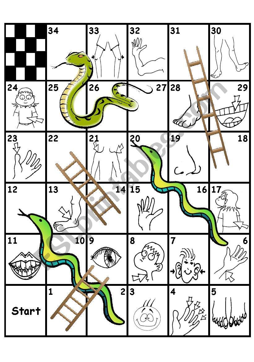 Parts of the body - snakes and ladders