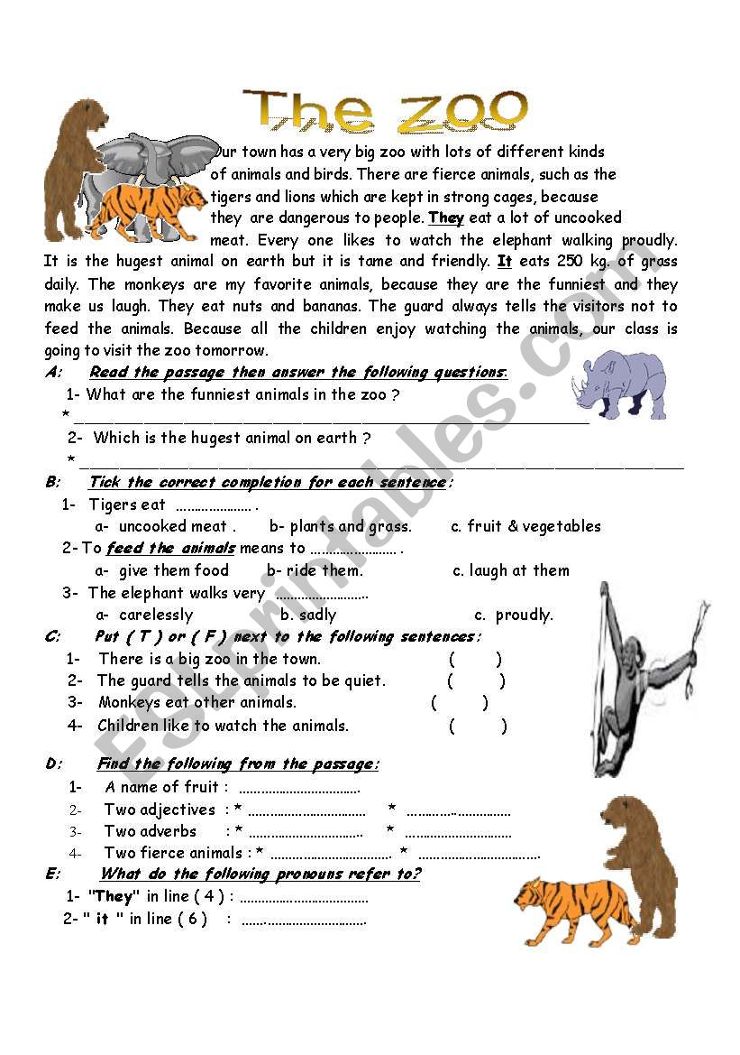 The ZOO worksheet