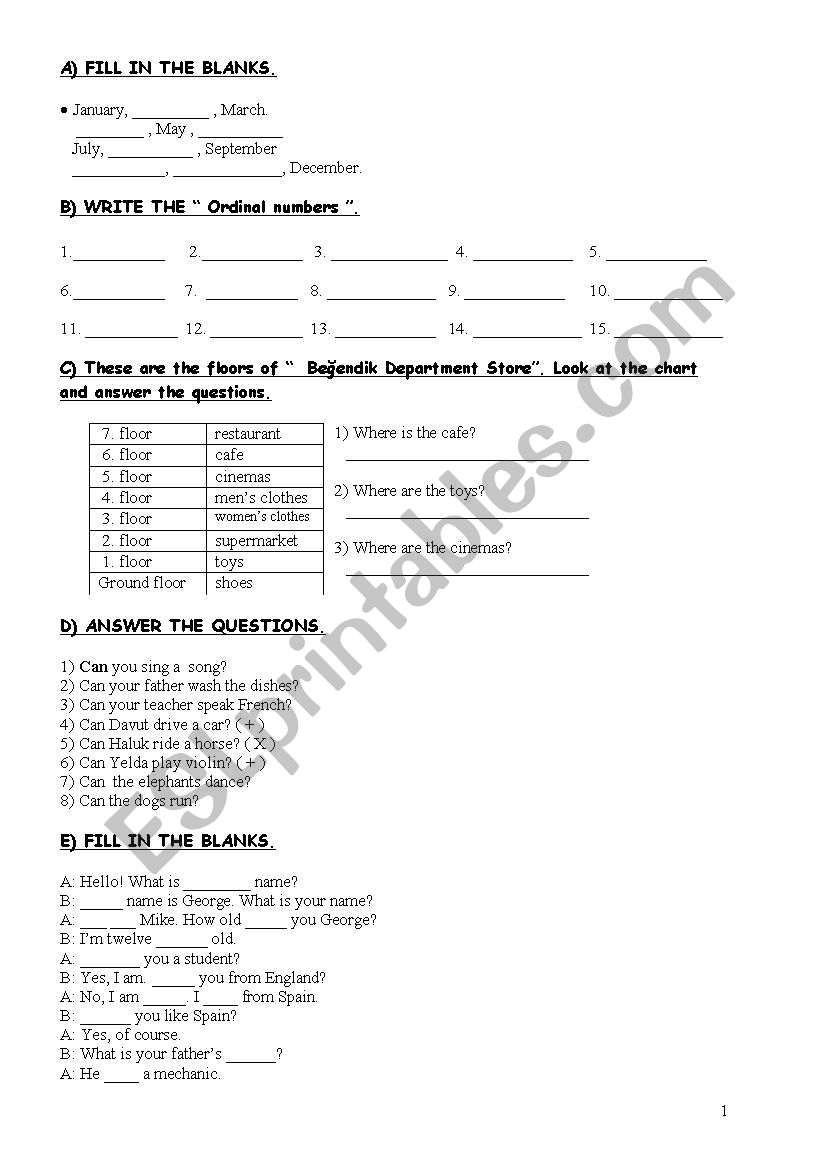 general revision worksheet