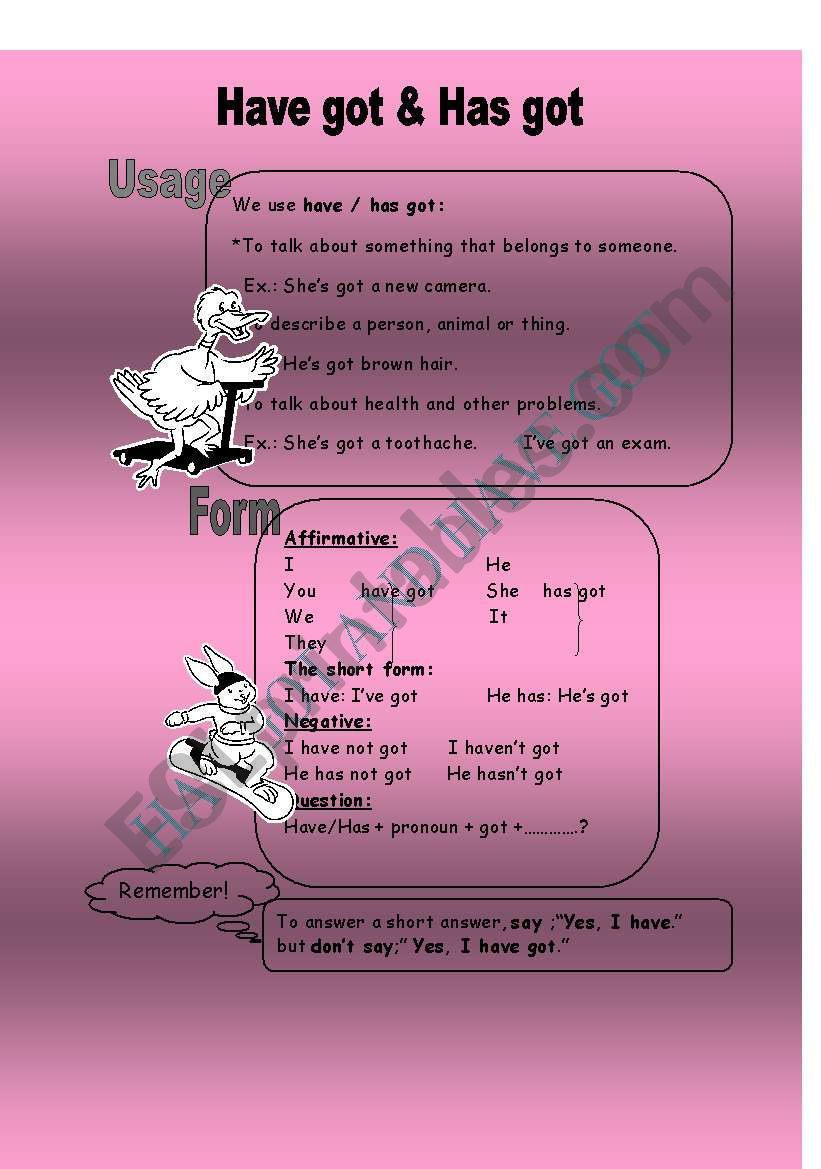 HAS GOT and HAVE GOT worksheet
