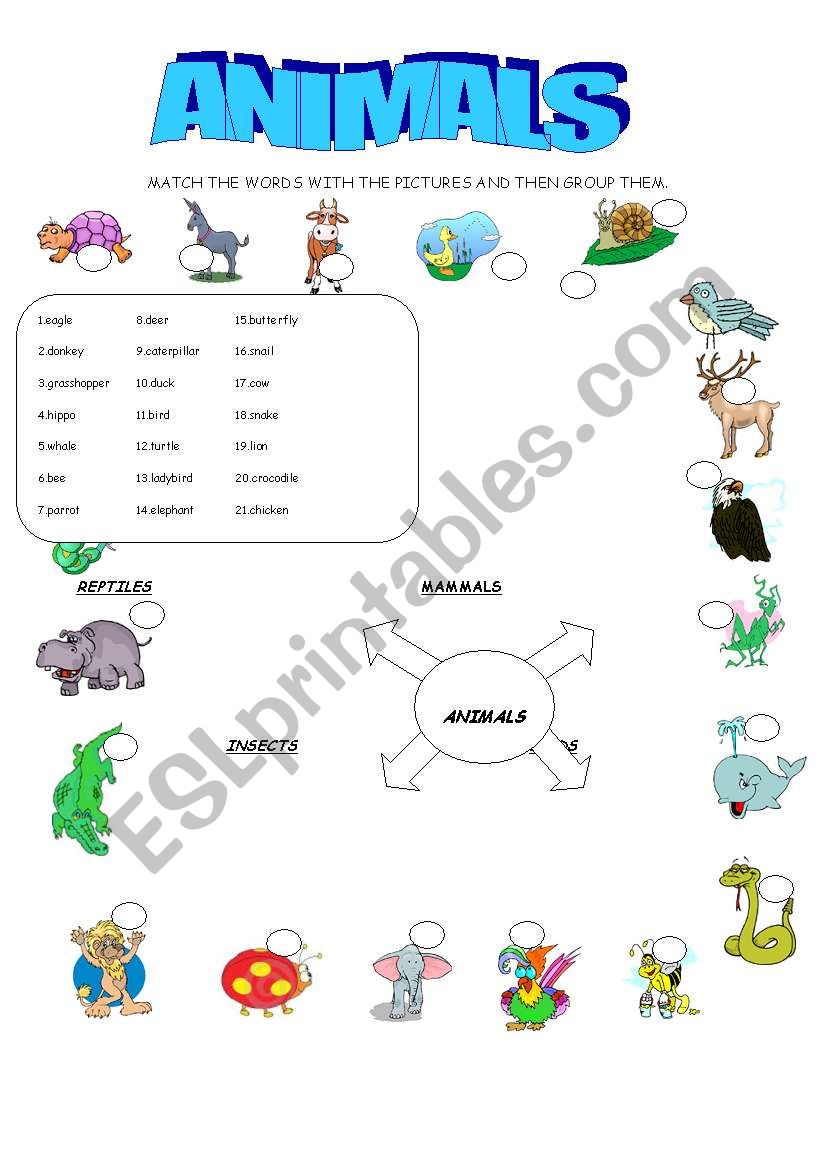 GROUP THE ANIMALS worksheet