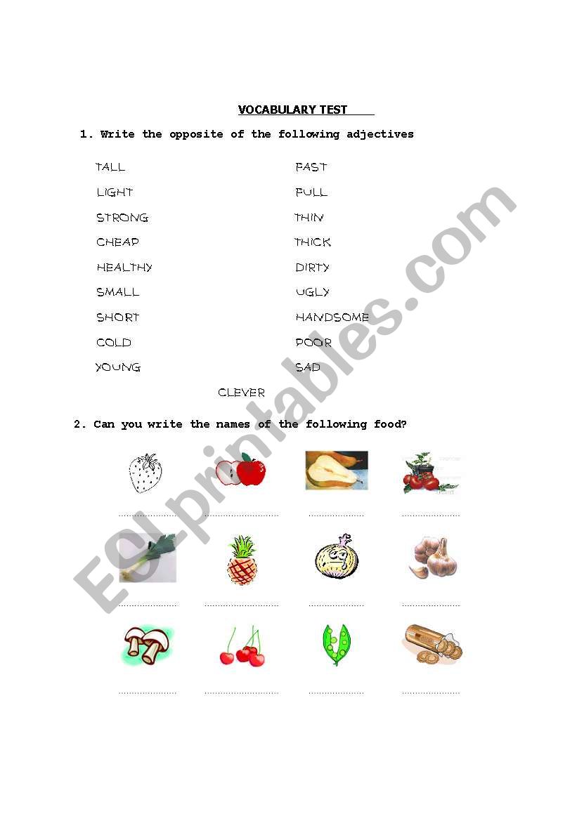 VOCABULARY TEST worksheet