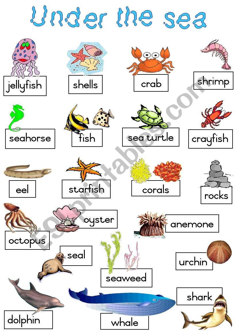 Under the sea - Poster worksheet