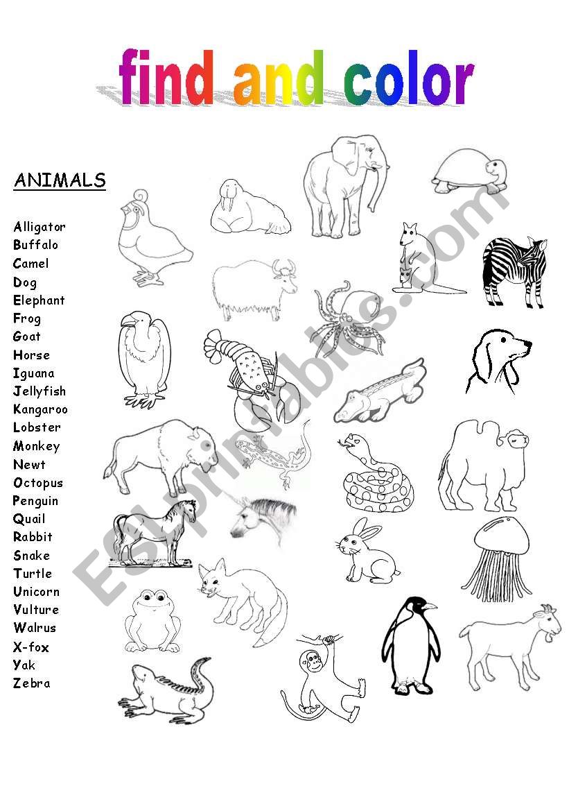 The ABCs of Animals and Food worksheet