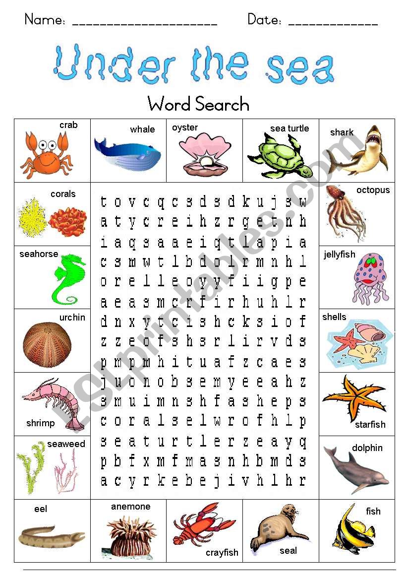 Under the sea Word Search worksheet