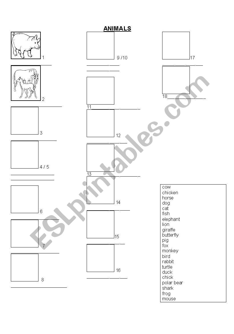 animals worksheet