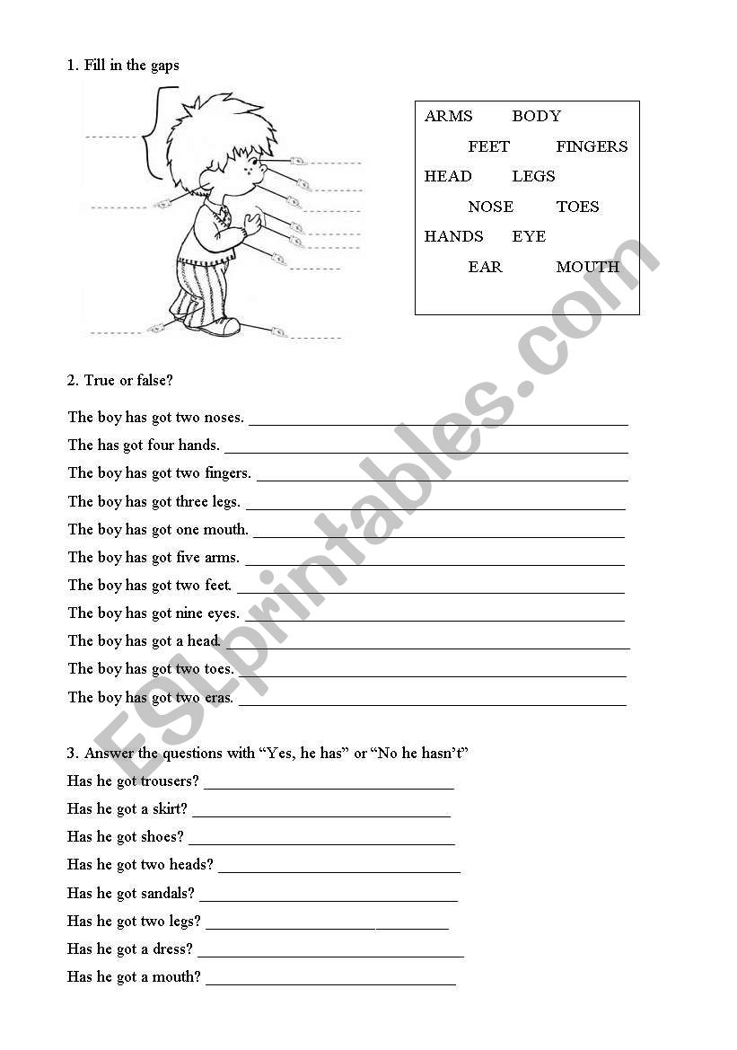 PARTS OF THE BOY - HAVE GOT worksheet