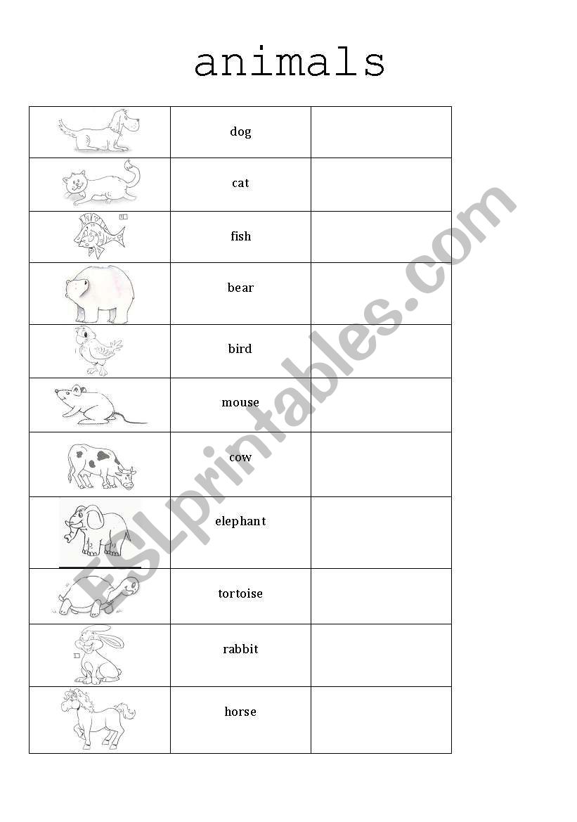 The animals worksheet