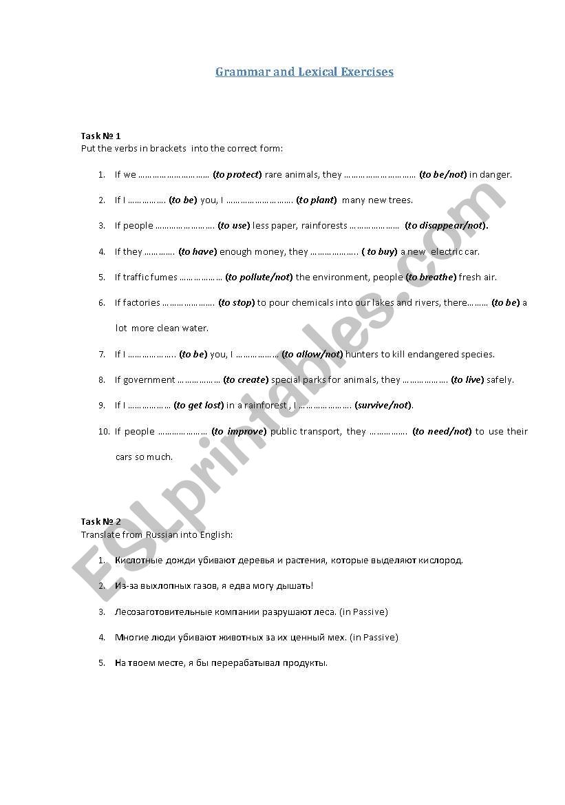 conditional 2 worksheet