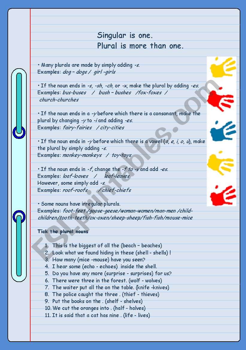 Plurals worksheet