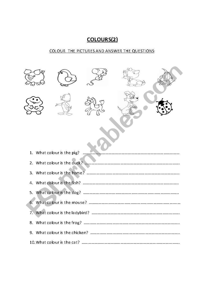 WHAT COLOUR? worksheet