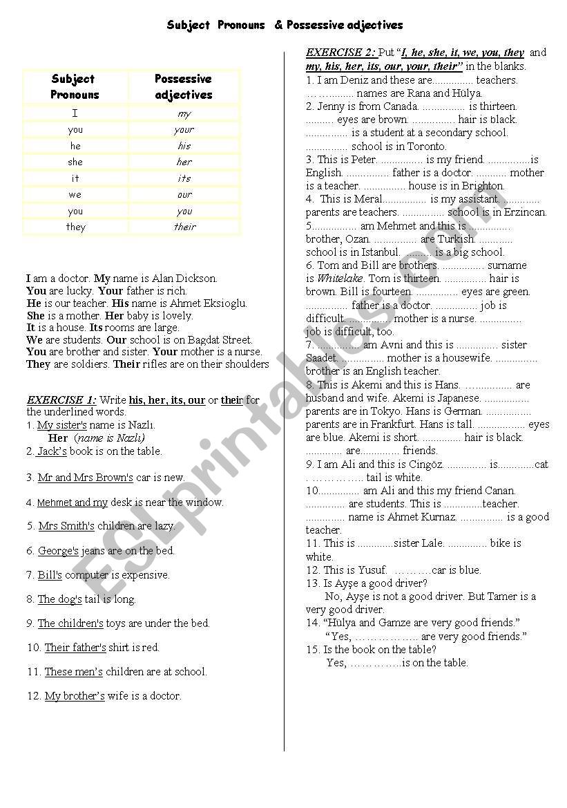 Subject  Pronouns  & Possessive adjectives