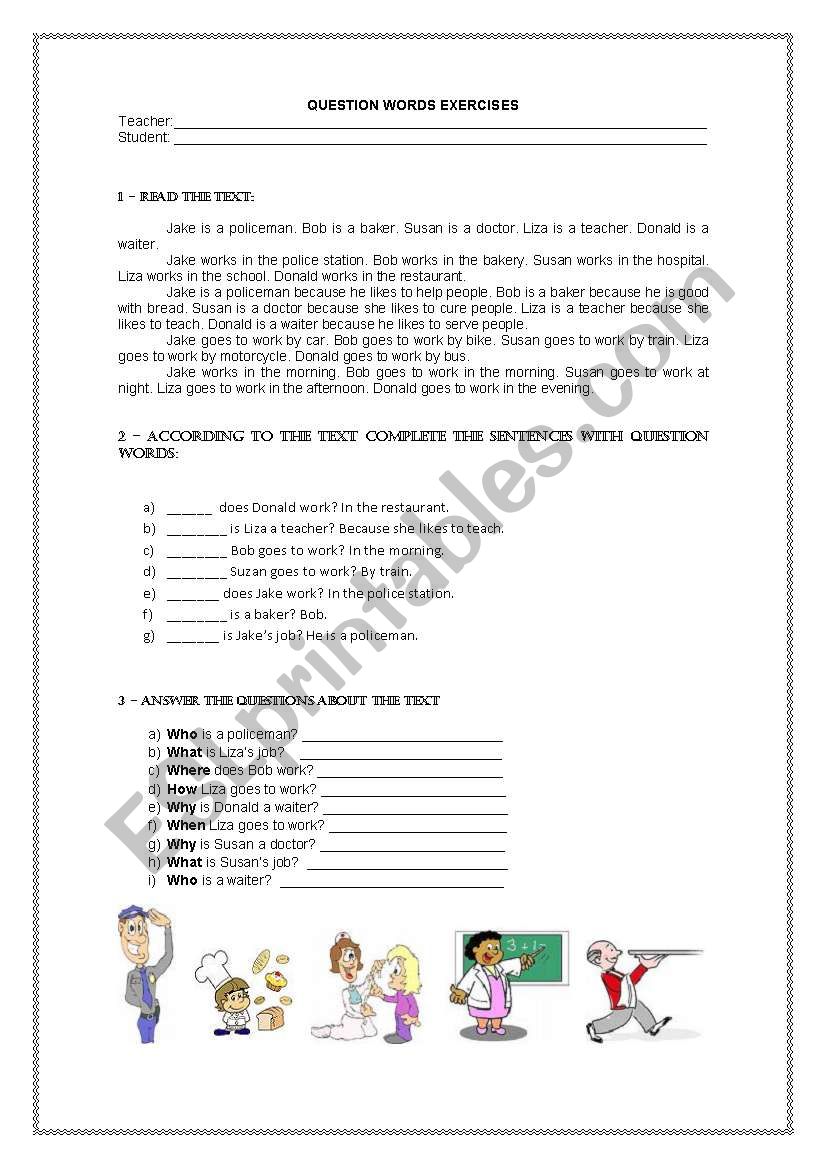 Question Words Exercises worksheet