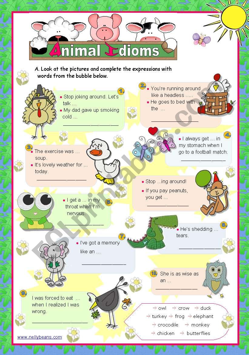 Animal Idioms used every day  (3)  for elementary/ lower intermediate students