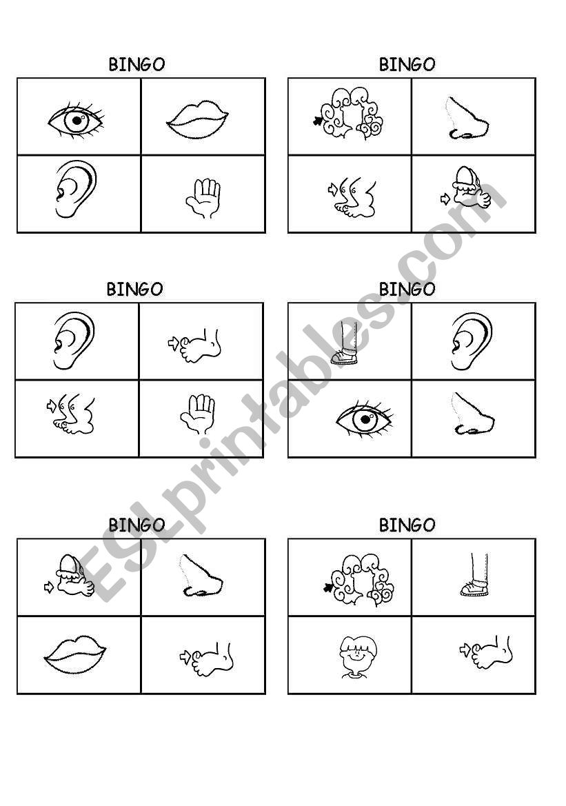 Body bingo worksheet