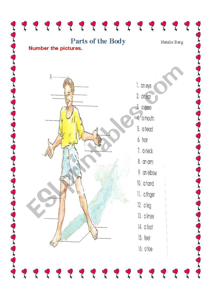 Parts of the Body worksheet