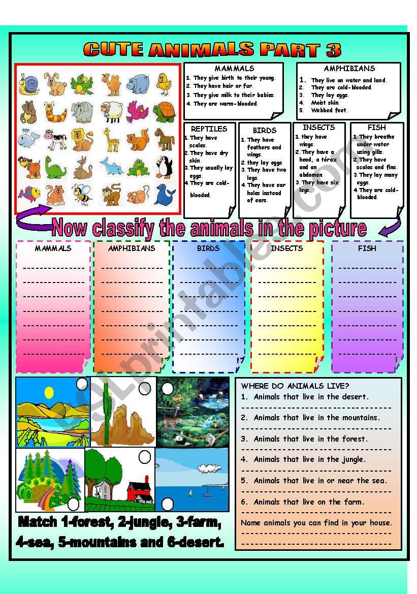 CUTE ANIMALS PART 3  worksheet