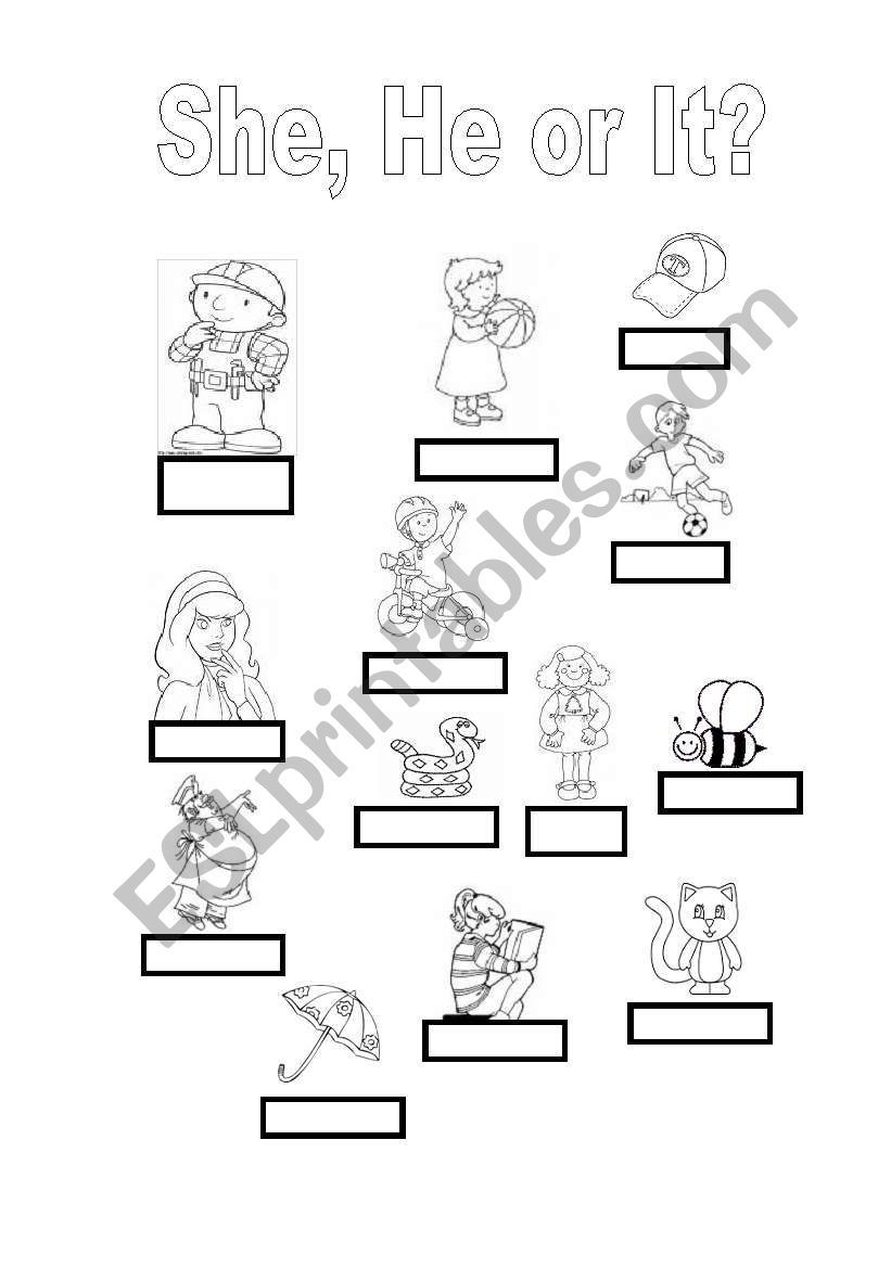 SHE HE IT ESL Worksheet By Milena82