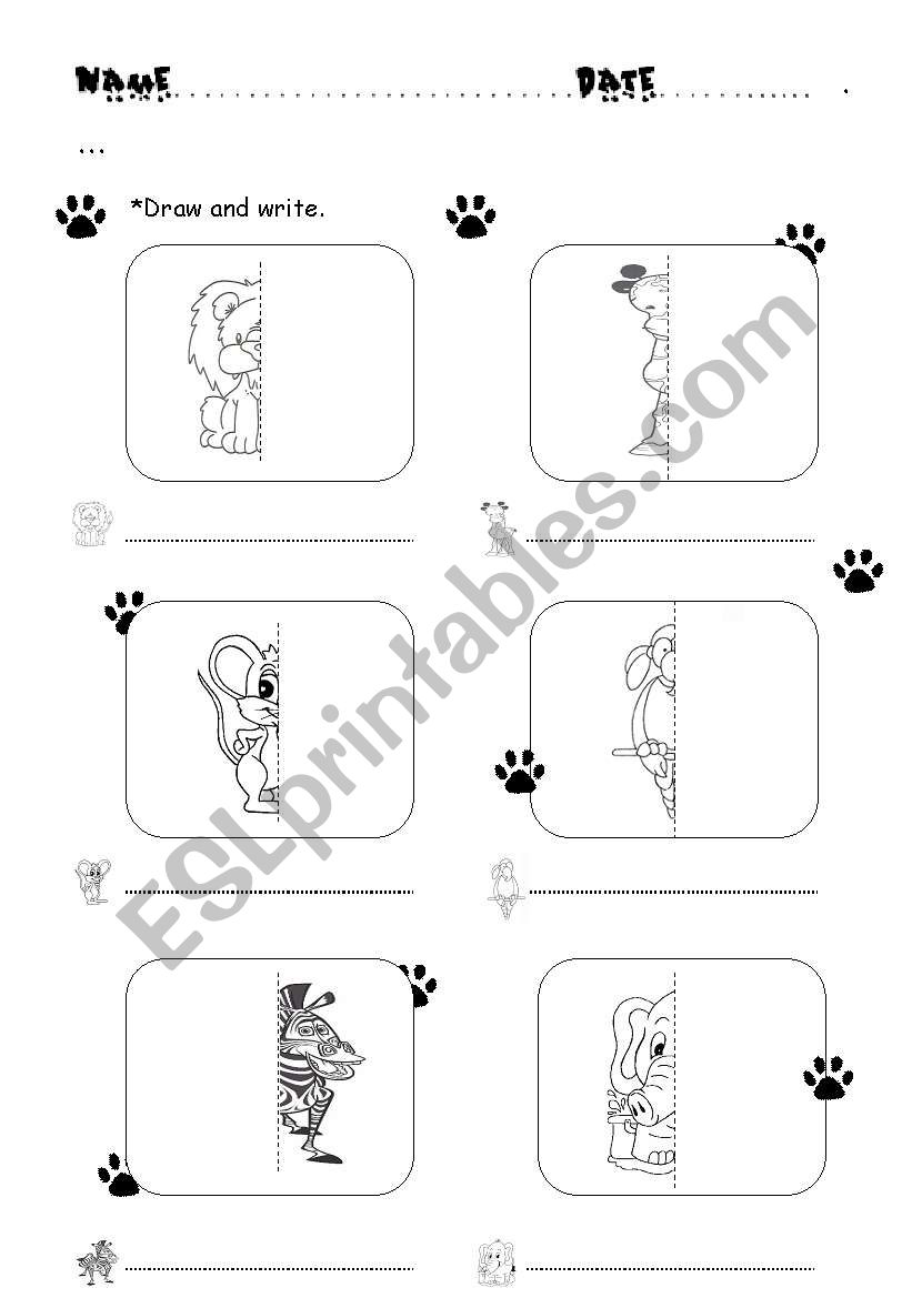 Animals worksheet