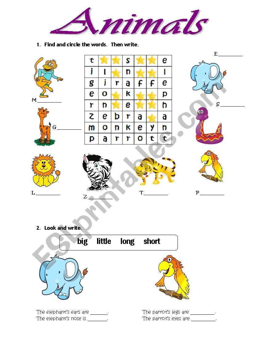 Animals worksheet