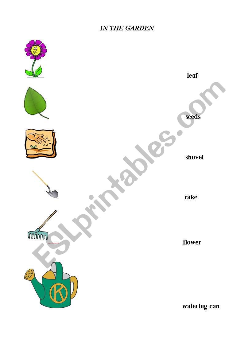 in the garden worksheet
