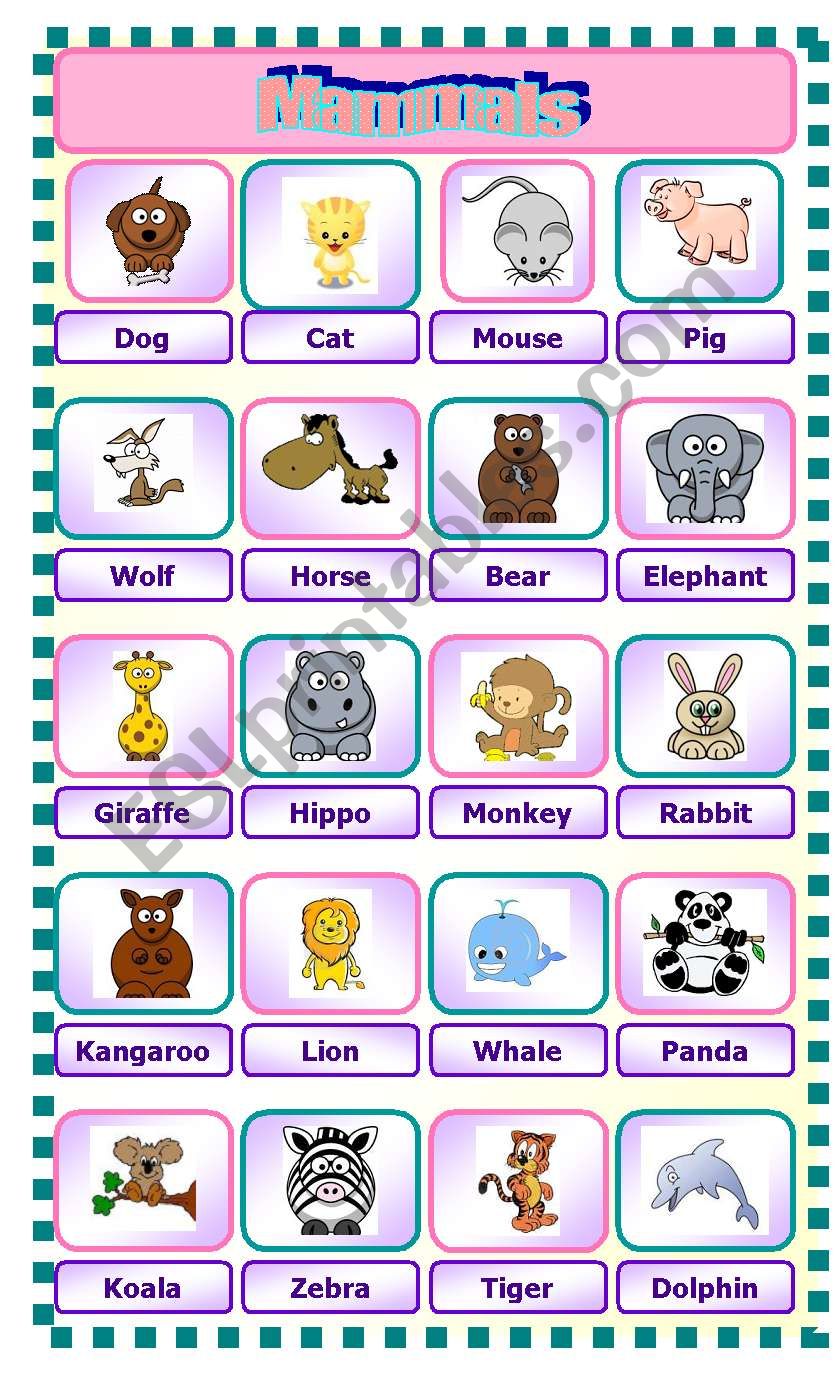 Mammals worksheet