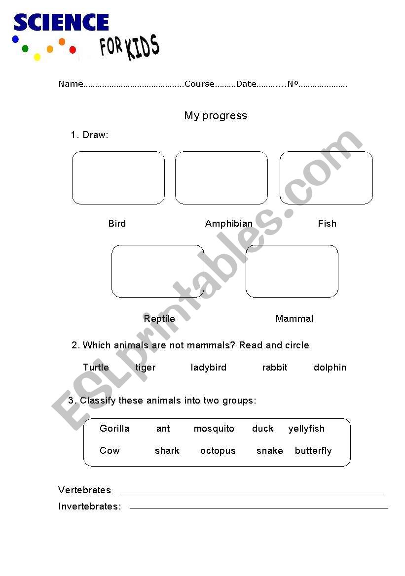 The animal world worksheet