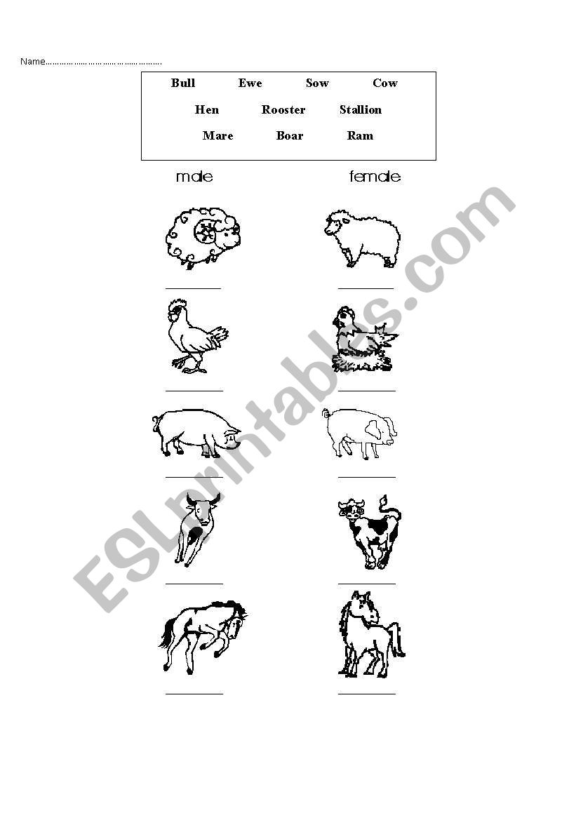 Farm animals worksheet