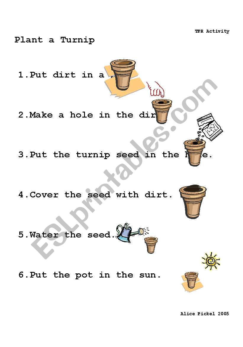 Plant a Turnip TPR worksheet