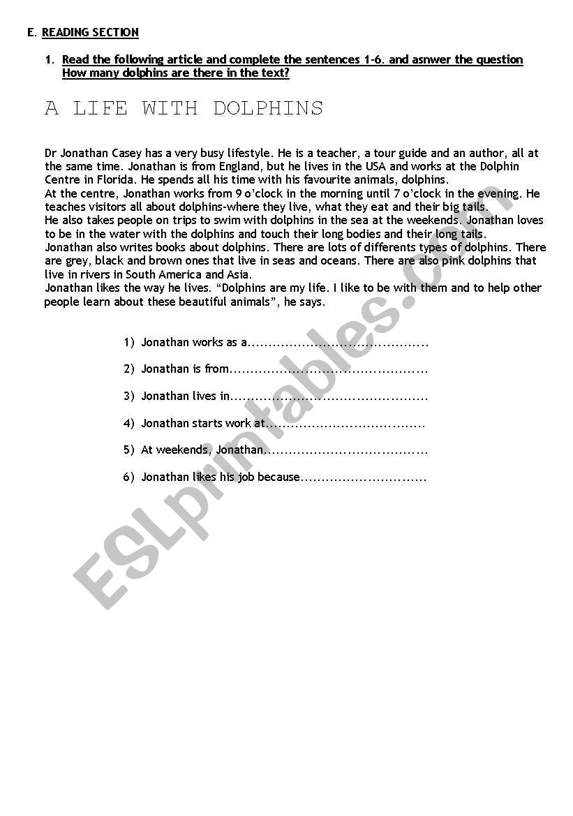 READING SECTION worksheet