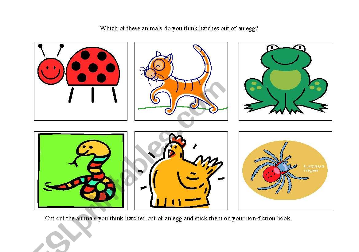 minibeast worksheet