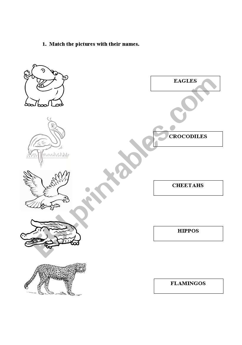 wild animals worksheet