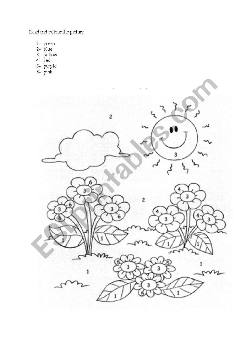 read and colour worksheet