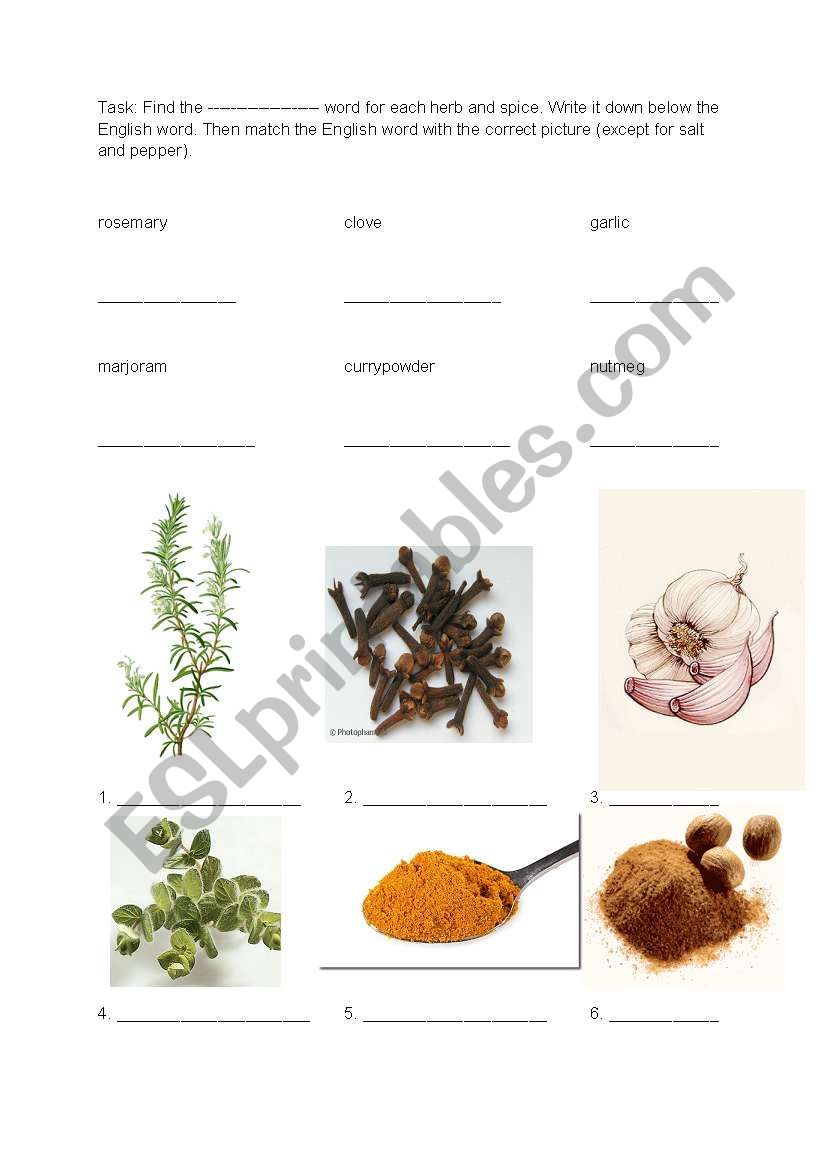 Food - herbs and spices 1 worksheet