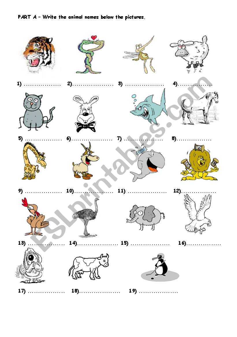 ANIMAL worksheet