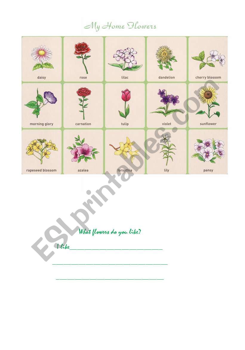 Home flowers worksheet