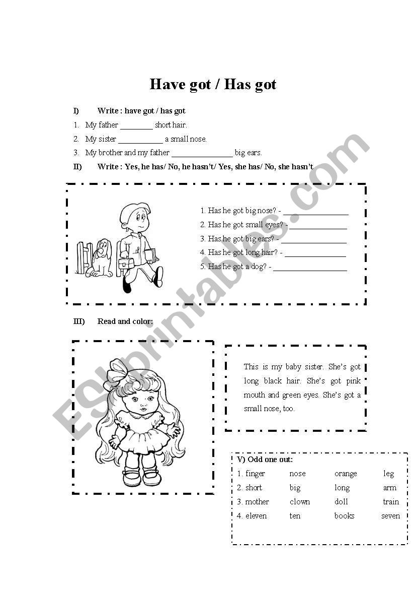 Have got and has got worksheet