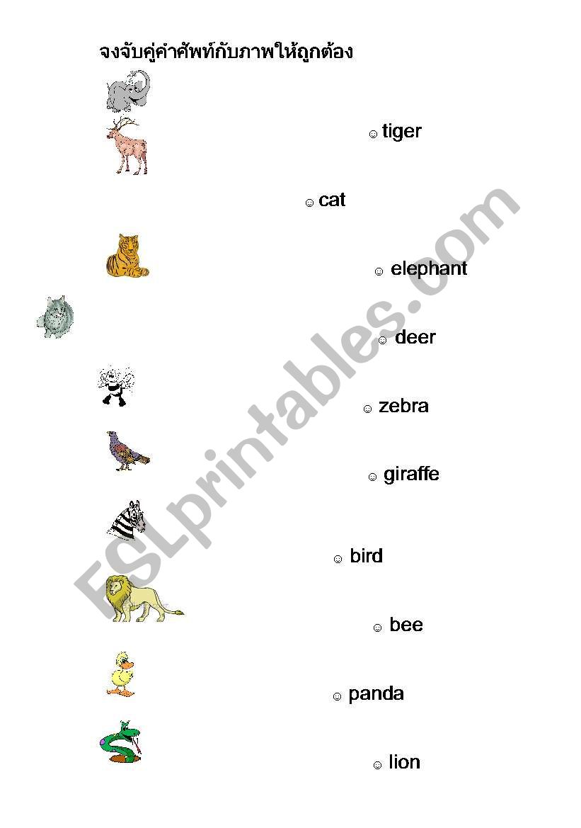 animal worksheet