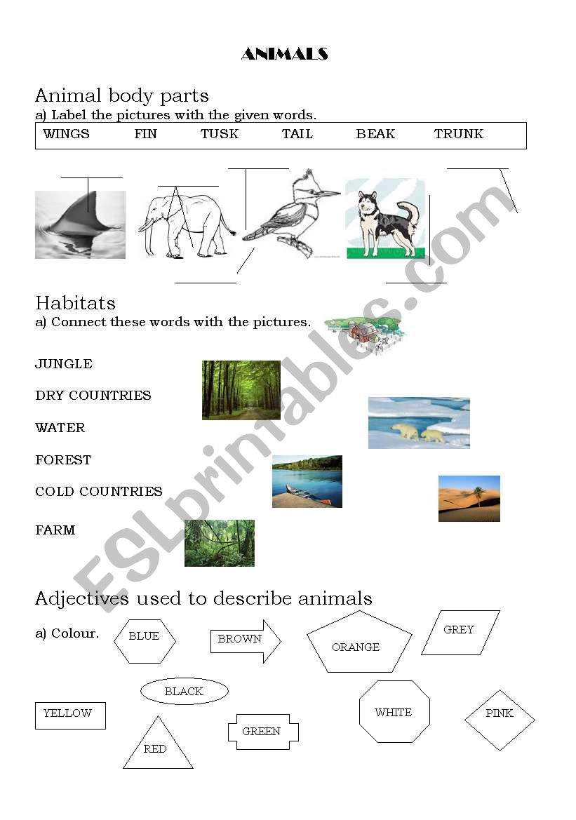 Animals 1 worksheet