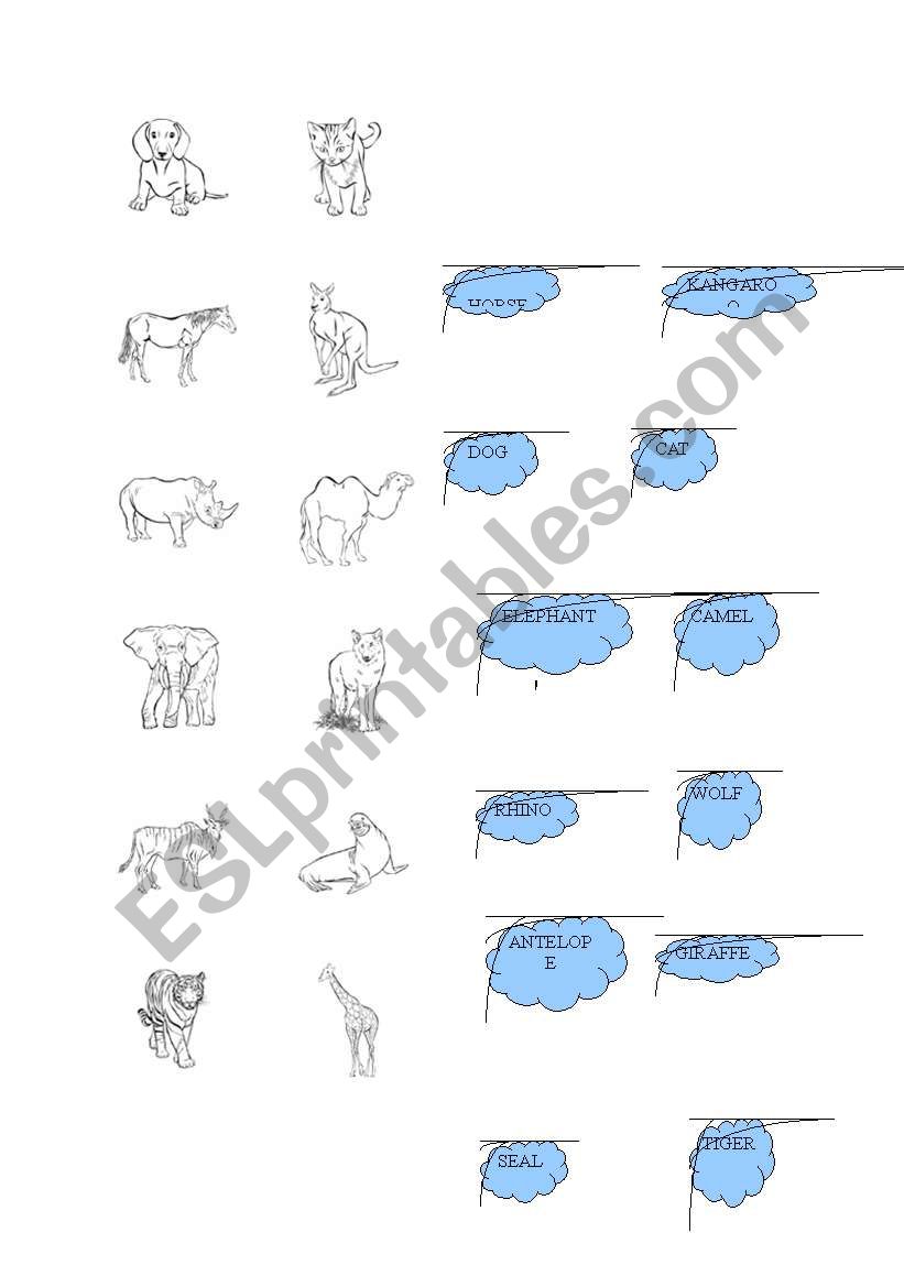 ANIMALS worksheet