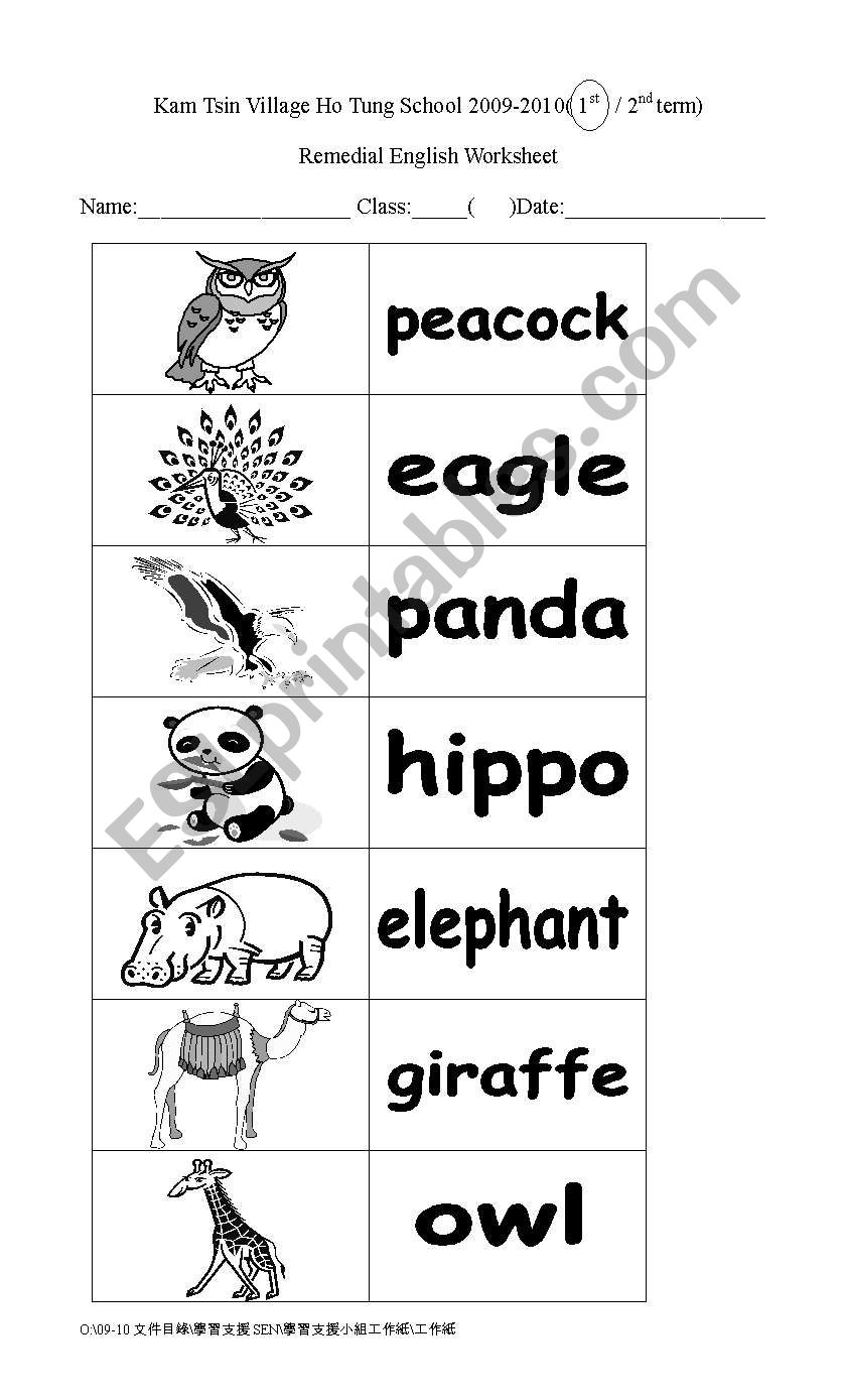 Animals_ card games worksheet